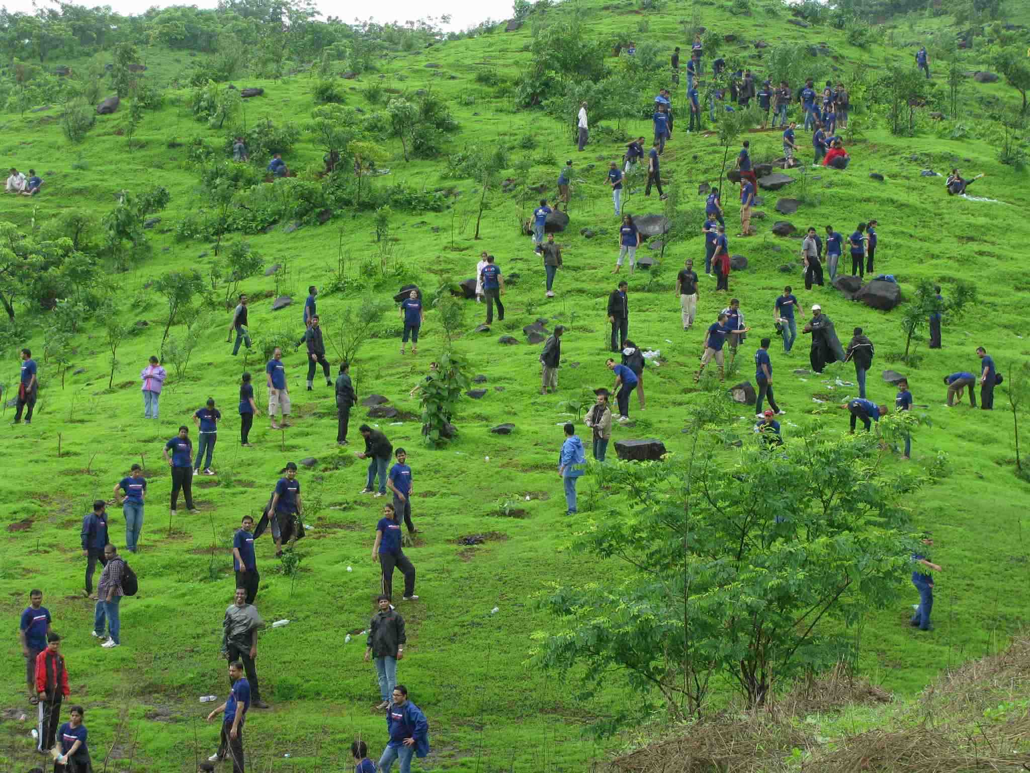 Mass Neem and Fruit Tree Plantation Drive in North Delhi under Vriksh Ganga Abhiyaan